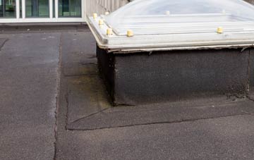 disadvantages of Millikenpark flat roofs